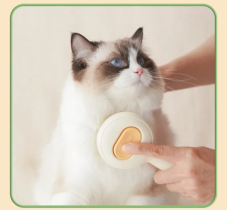 Cat being petted by a hand holding a white and gold object on a beige background