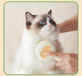 Cat being petted by a hand holding a white and gold object on a beige background