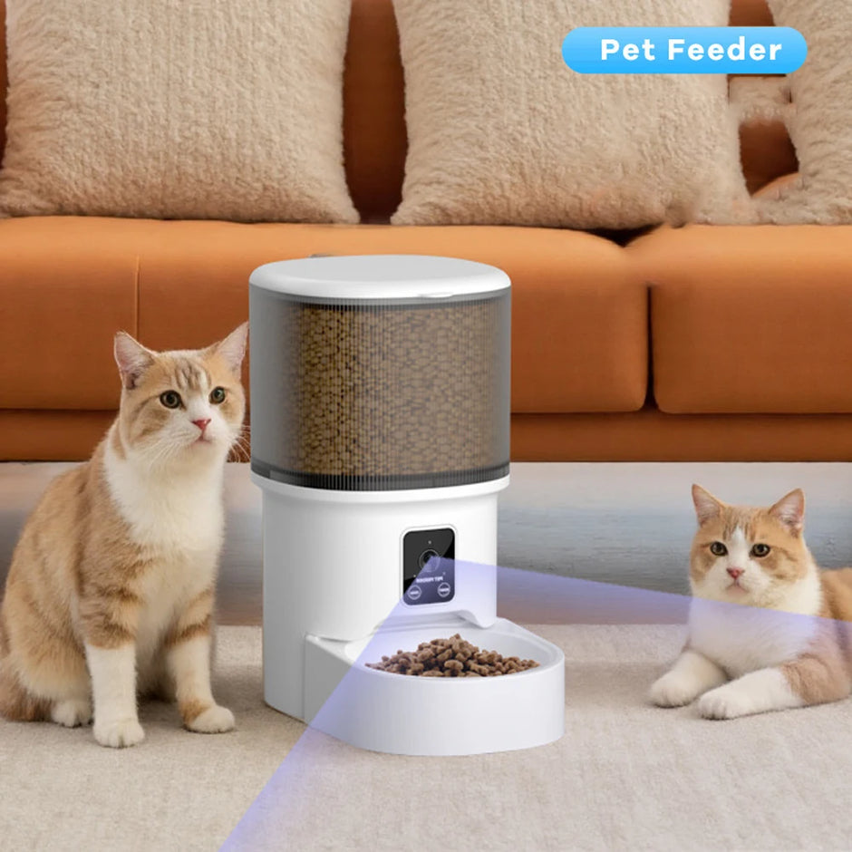 Pet feeder with two cats in a living room setting