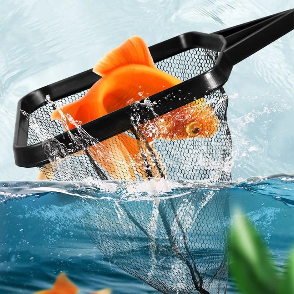 Goldfish being caught in a net with water splashing around