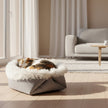 Cat sleeping in a fluffy pet bed with a gray base on a white background
